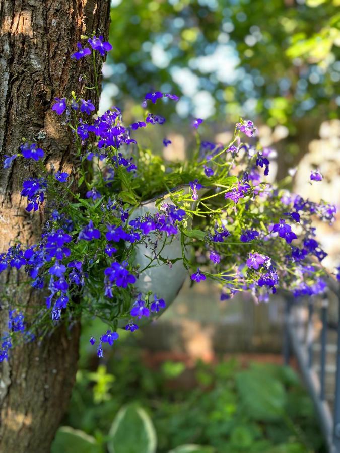 Przechowalnia Marzen- Adults Only Міколайкі Екстер'єр фото